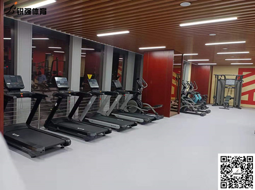 beats365官方网站完成的济南某部门单位健身房